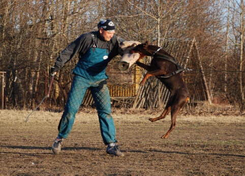 Training in Estonia 30.3 - 1.4. 2007